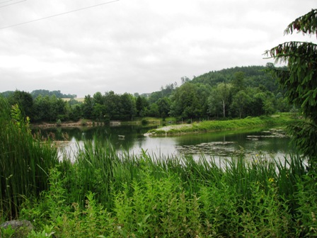 Die Teichanlagen bei der 1.K+L in Breiteneich