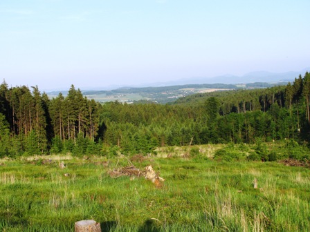 Herrlicher Fernblick