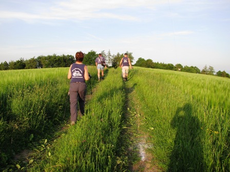 Unterwegs auf einem Höhenrücken mit herrlichen Blicken zur Donau