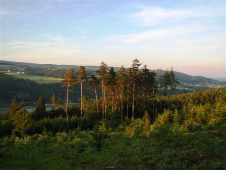 Weiterer schöner Blick zur Donau in der Abendsonne