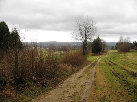 Schne Feldwege von Bhmsdorf nach Wurmbrand