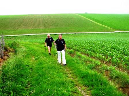 Über Feld und Wiese...
