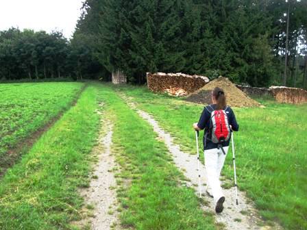 Die Wanderfreunde genießen die ebene Strecke