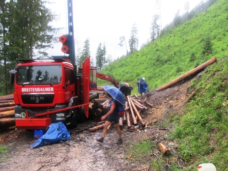 Holzfllerarbeiten versperren den Wanderweg