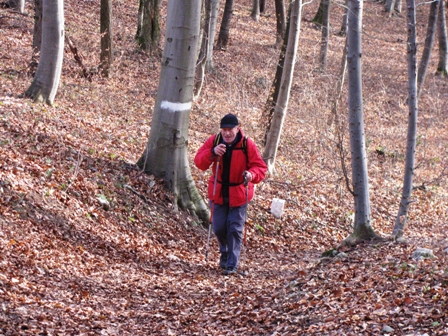 Hans Lebsinger geniet den Anstieg zum Peilstein durch den Wald