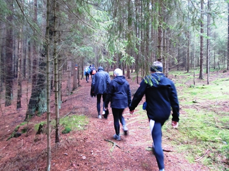 Die Marathonis genieen die herrlichen Waldpfade am Weg Richtung Schwarzalm