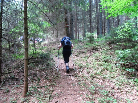 Roswitha in einem kleinen Waldpfadanstieg
