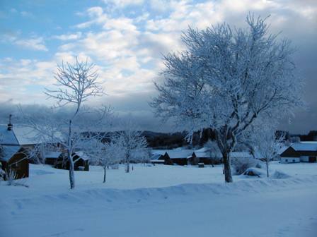 Tiefgefrorene Bäume in Altmelon
