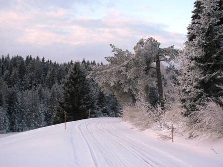 Auf einer gut zu begehenden Nebenstraße