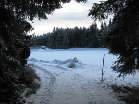 Der Blick hinaus aus dem Wald