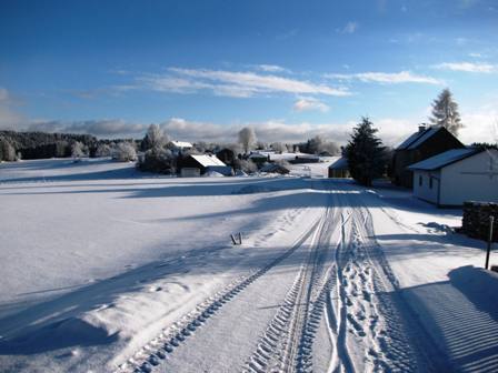 Der Weg durch Fichtenbach