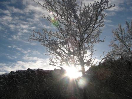 Wintersonnenimpression