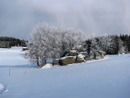 Gesteinsformation im Birkenhain - typisch fürs Waldviertel