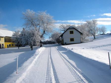 Nur ein paar Traktorspuren sind im Neuschnee zu sehen