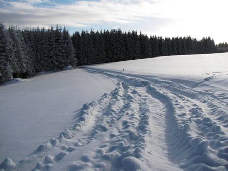 Jetzt wird der Weg etwas beschwerlicher...