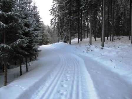 ...führt aber wieder durch herrliche, ruhige und entspannende Wälder