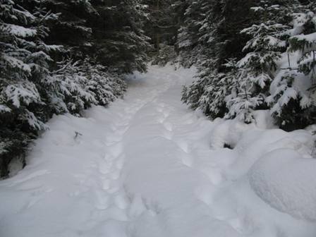 Im Anstieg ist der Schnee am tiefsten - das gibt Kraft
