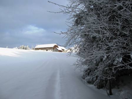 Der Blick hinauf zum Gaubitzhof