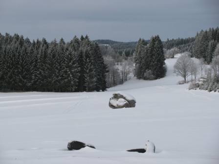 Blick zu einem Felsen mitten in der Wiese beim Gaubitzhof...