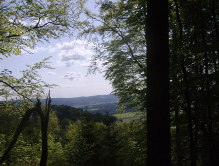 Ausblick aus dem Wald