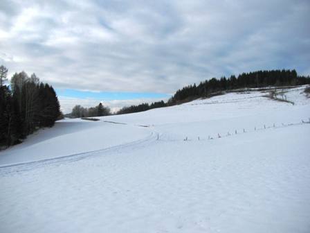 Schneebedeckte Wiesen