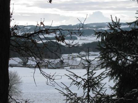 Blick aus dem Wald ins Mühlviertel