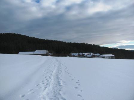 Schmale Pfade durch den Schnee