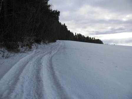 Schöner Weg entlang des Waldes...