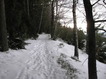 ...und durch den Wald