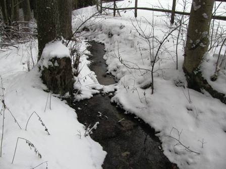 In einem Bächlein helle