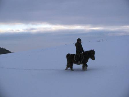 Ponyreiten im Schnee - Juchee