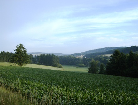 Blick in die Umgebung von Selbitz