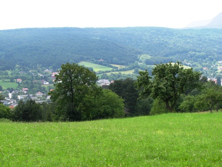 ...und nach Markt Piesting