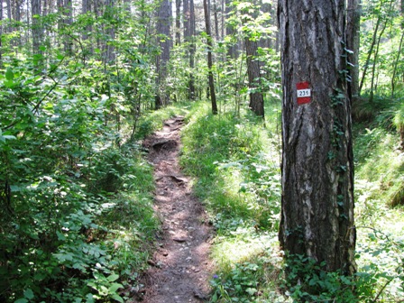 ...ab nun gehts ein Stück aufwärts...