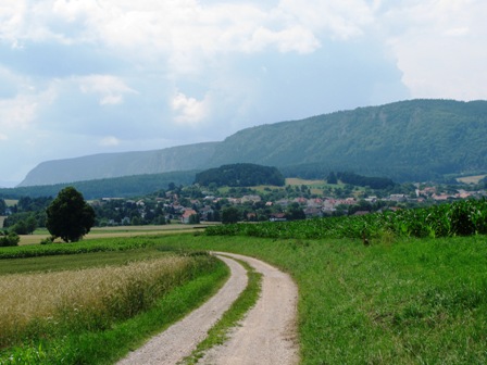 Blick zur 'Hohen Wand'