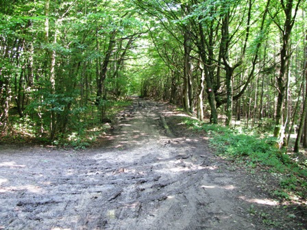 Der Eingang zum Marchgraben ist durch den Dauerregen etwas rutschiger