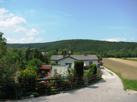 Blick zu den Föhrenwäldern hinter Wöllersdorf